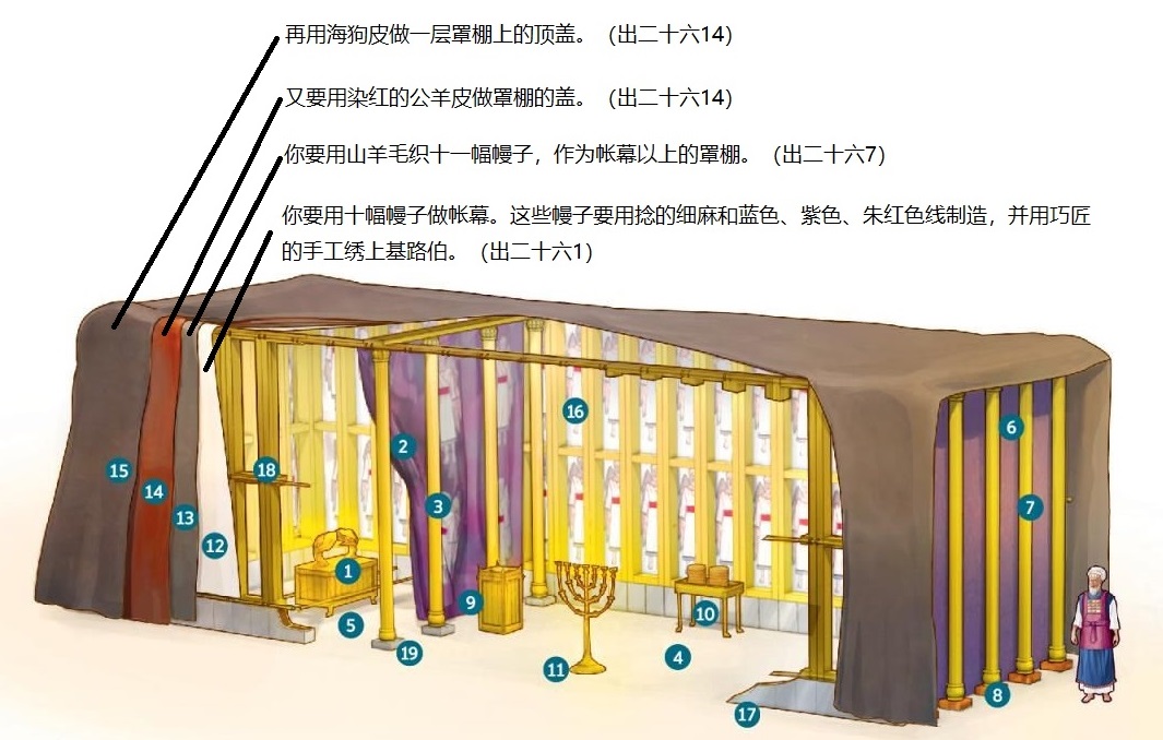 上图:帐幕4层幔子示意图。挂在最里层的是十幅细麻和蓝色、紫色、朱红色线制造的彩色幔子(出二十六1-6),外面罩上十一幅山羊毛的罩棚(出二十六7-13),然后用染红的公羊皮做罩棚的盖(出二十六14),最外层用海狗皮做罩棚上的顶盖(出二十六14)。圣经并没有提到公羊皮罩棚盖和海狗皮顶盖的尺寸,有可能只是遮盖了帐幕顶部。